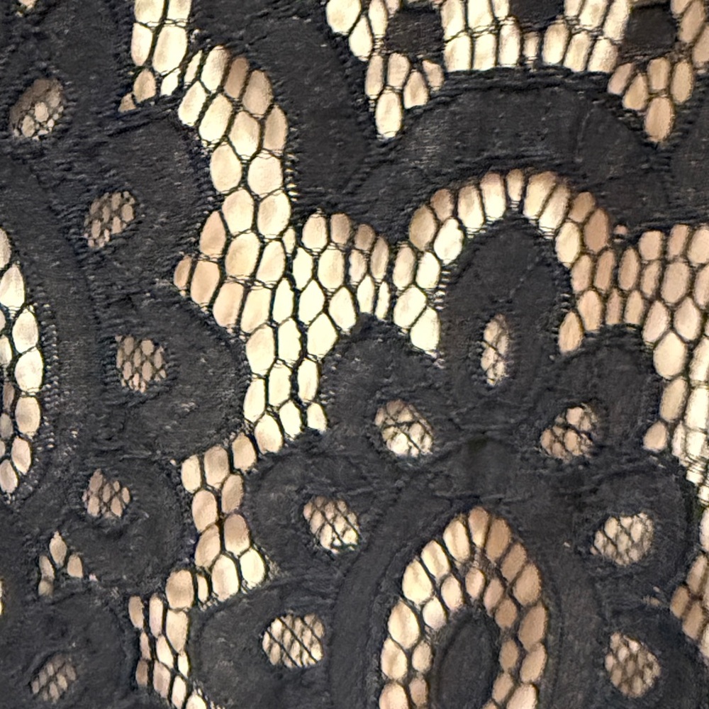 Elegant Black Lace Fabric Zip Jacket - Picture 7 of 12
